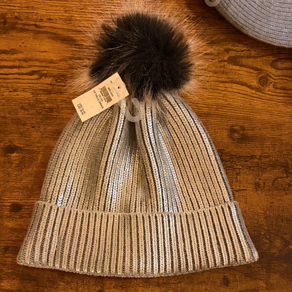 aerie Other - Aerie Cozy Knit Pom-Pom Beanie - Metallic Silver and Black one size. (last one)